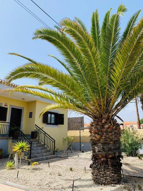 Vivienda Vacacional Tinizara Arona  Εξωτερικό φωτογραφία