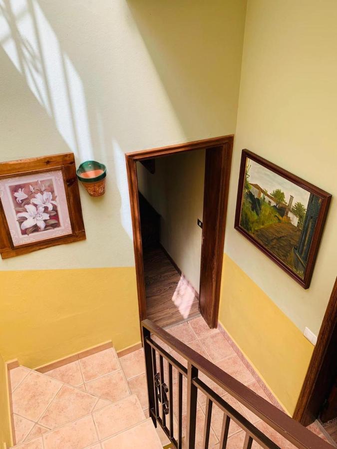 Vivienda Vacacional Tinizara Arona  Εξωτερικό φωτογραφία